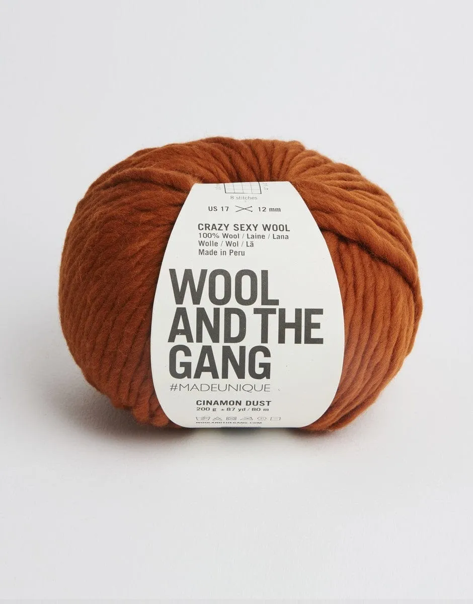 Crazy Sexy Wool, Super Chunky Yarn, Wool and the Gang