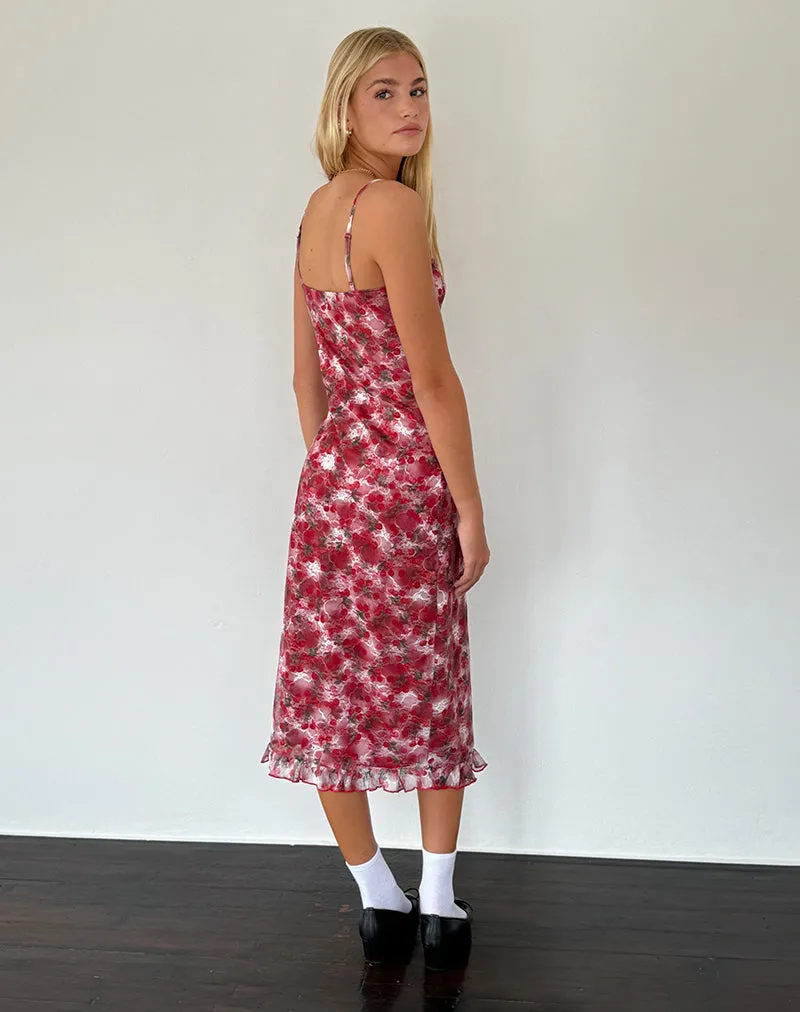 Nawari Midi Dress in Printed Lace Cherry